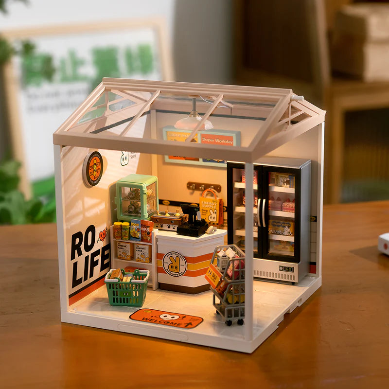 Energy Supply Store – DIY Miniature House Kit