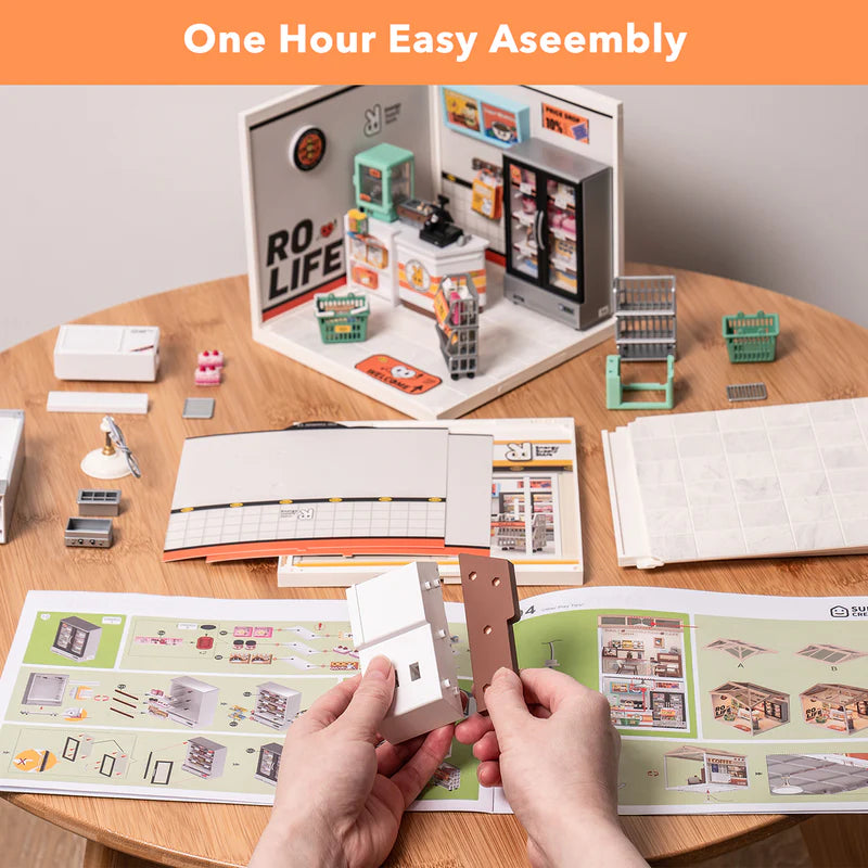 Energy Supply Store – DIY Miniature House Kit