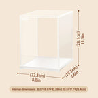 Rolife Clear Display Case Portrait Size M DF05L