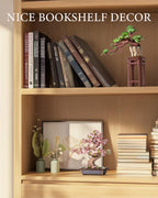 Bonsai Tree Collection – DIY Wooden Bonsai Model Kit