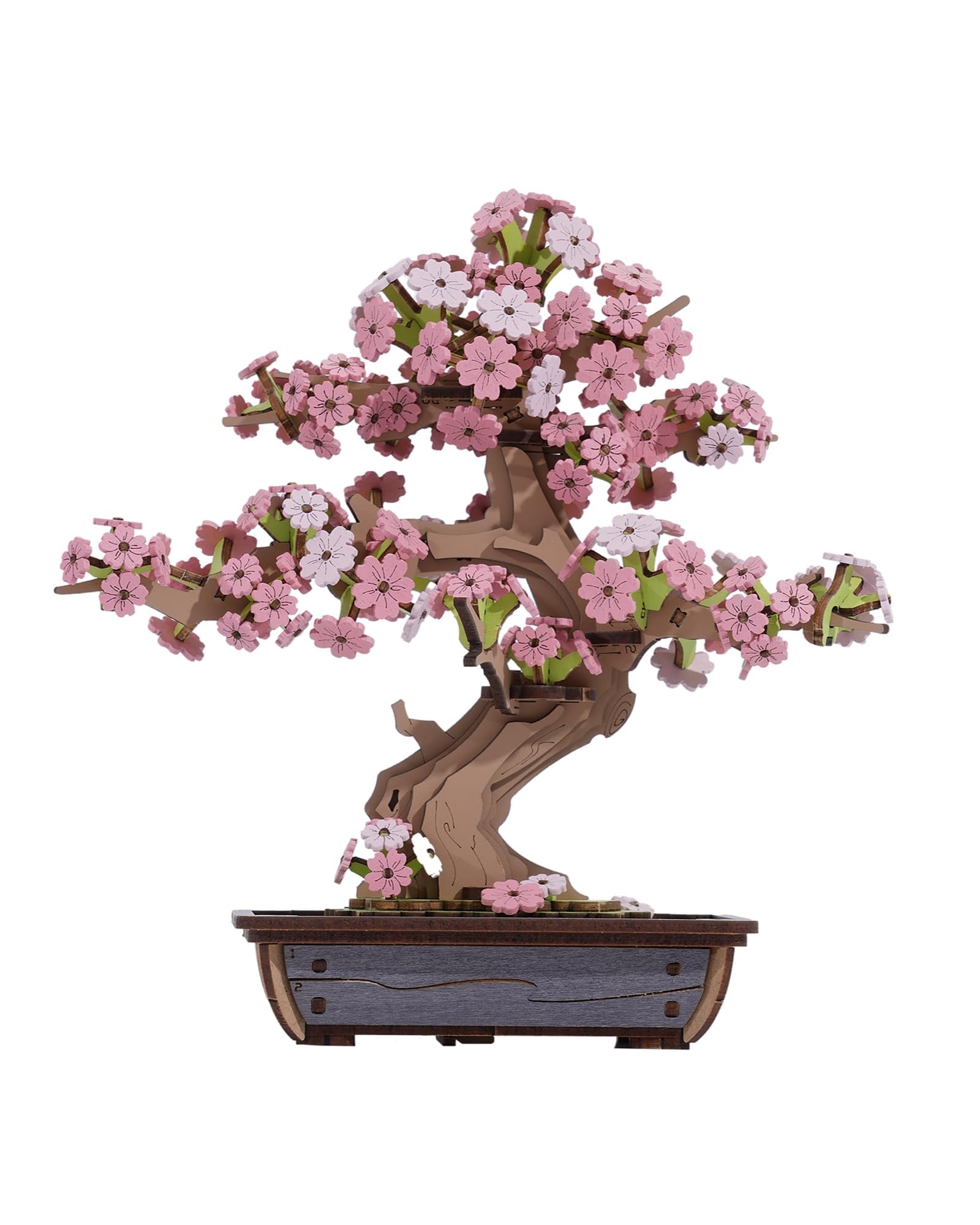 Bonsai Tree Collection – DIY Wooden Bonsai Model Kit