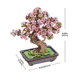 Bonsai Tree Collection – DIY Wooden Bonsai Model Kit