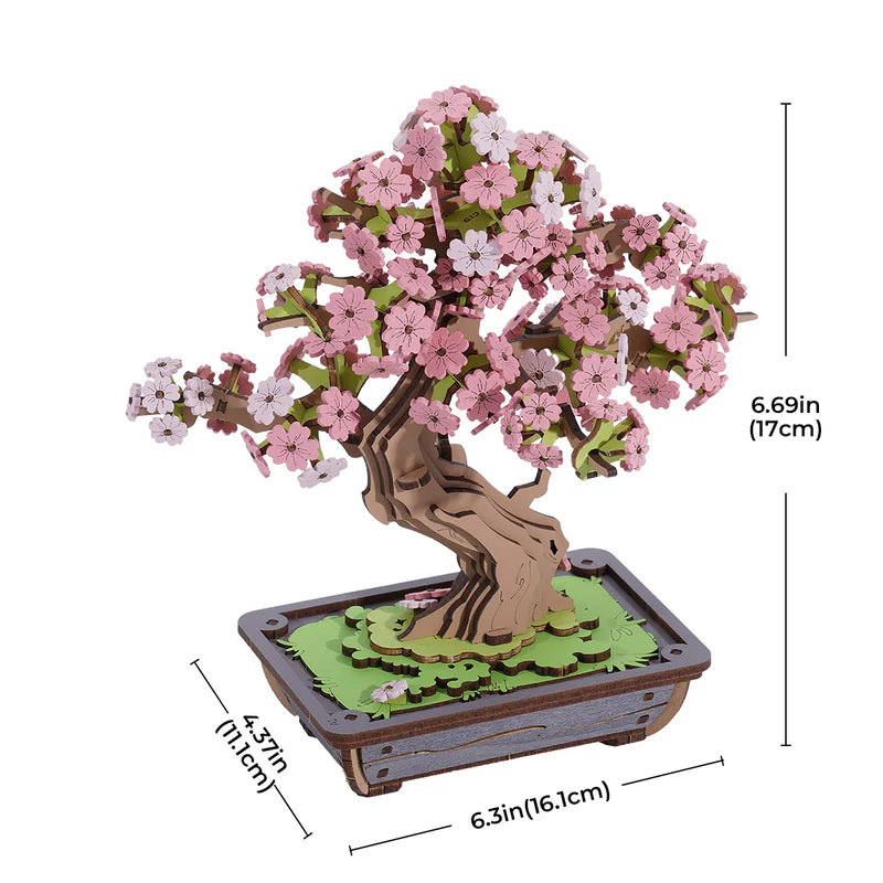 Bonsai Tree Collection – DIY Wooden Bonsai Model Kit
