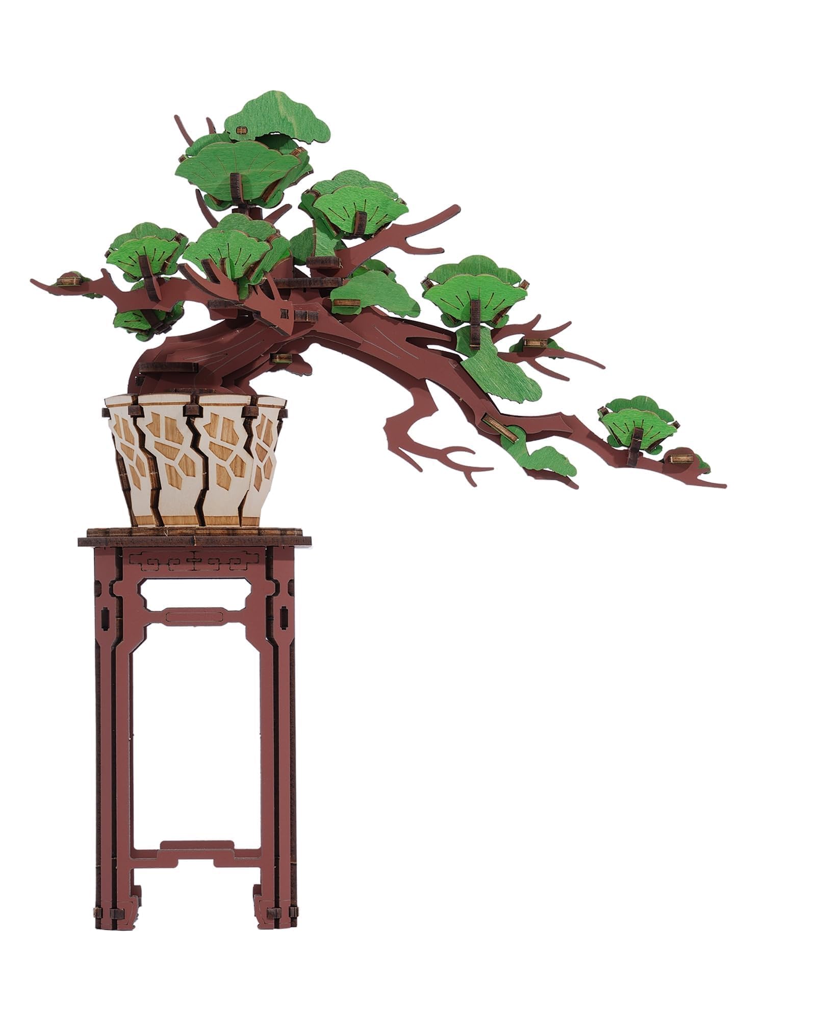 Bonsai Tree Collection – DIY Wooden Bonsai Model Kit