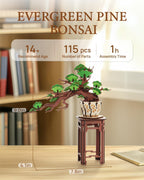 Bonsai Tree Collection – DIY Wooden Bonsai Model Kit