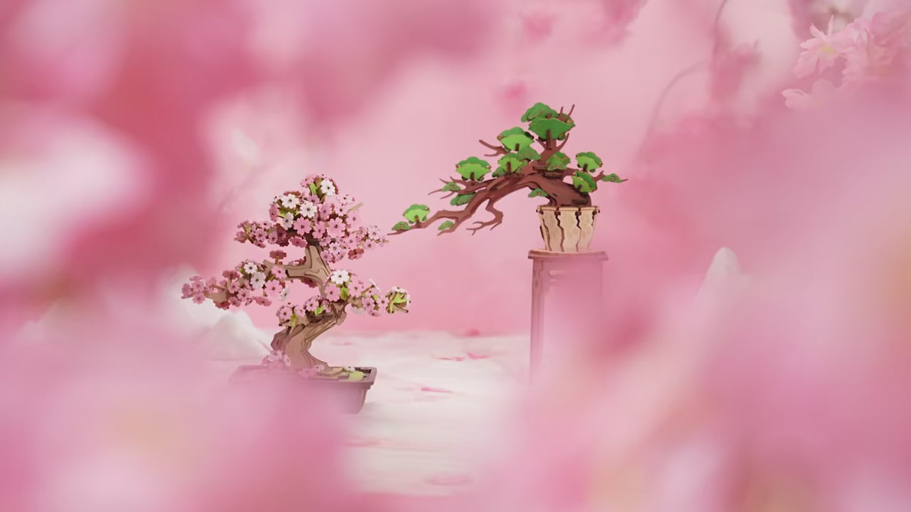 Bonsai Tree Collection – DIY Wooden Bonsai Model Kit