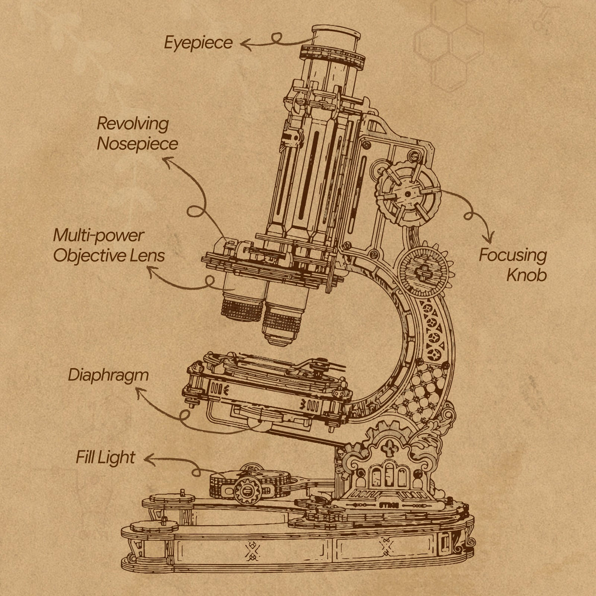 Rokr Microscope parts diagram showing eyepiece, objective lenses, focusing knob and diaphragm